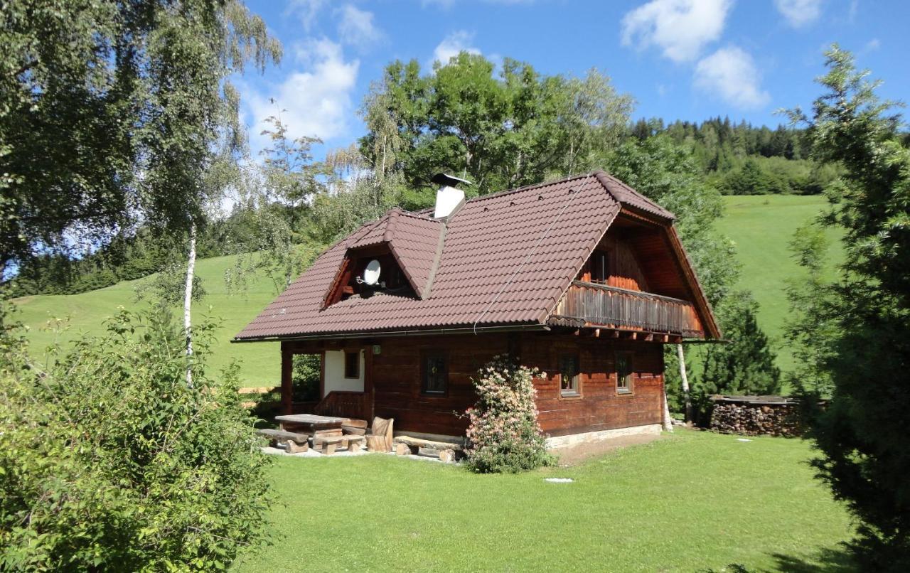 Die Petzl Huette - Kreischbergblick Kaindorf  Buitenkant foto