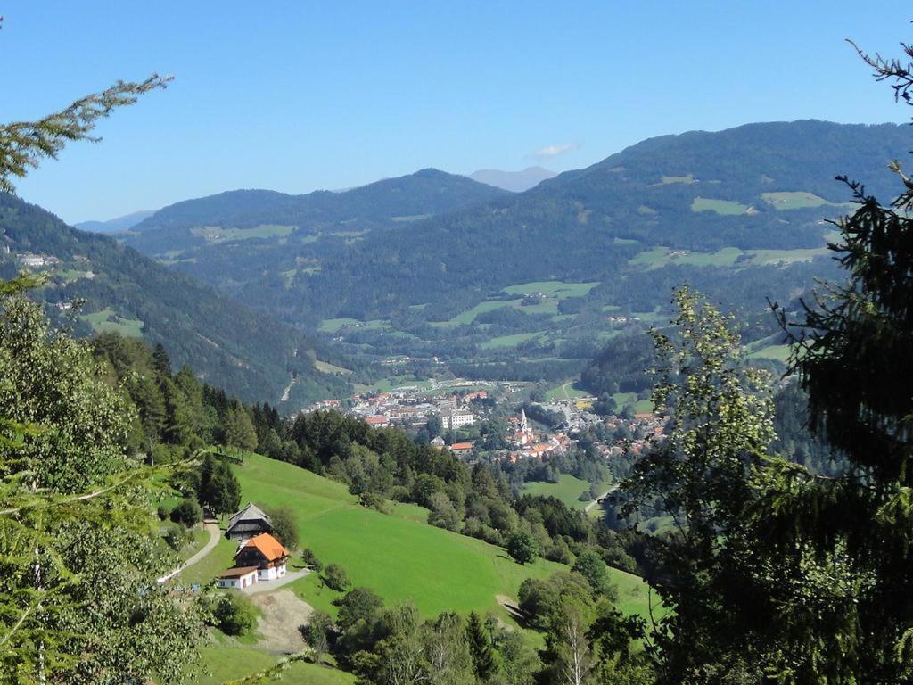 Die Petzl Huette - Kreischbergblick Kaindorf  Buitenkant foto